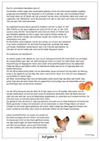 Vorschau - Arbeitsblätter - SACHTEXT: Hühnerhaltung mit Arbeitsblatt - Seite 2