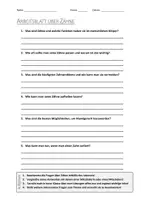 Vorschau - Arbeitsblätter - AB mit Fragen zum Thema "Zähne" + Lösungsblatt + Infografik - Deckblatt