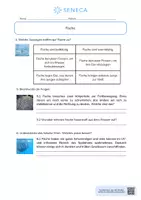 Vorschau - Arbeitsblätter - Fische - KOSTENLOS - Biologie 5. & 6. Klasse - Seite 2