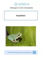 Vorschau - Arbeitsblätter - Amphibien - KOSTENLOS - Biologie 5. & 6. Klasse - Deckblatt
