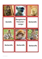 Vorschau - Spiele - Affen-Merkspiel - Seite 2