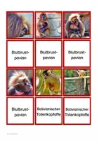 Vorschau - Spiele - Affen-Merkspiel - Seite 3