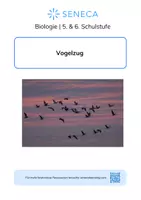 Vorschau - Arbeitsblätter - Vogelzug - KOSTENLOS - Biologie 5. & 6. Klasse - Deckblatt