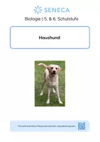 Vorschau - Arbeitsblätter - Haushund - KOSTENLOS - Biologie 5. & 6. Klasse - Deckblatt