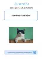 Vorschau - Arbeitsblätter - Merkmale von Katzen - KOSTENLOS - Biologie 5. & 6. Klasse - Deckblatt