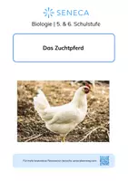 Vorschau - Arbeitsblätter - Das Haushuhn - KOSTENLOS - Biologie 5. & 6. Klasse - Deckblatt