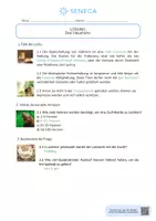 Vorschau - Arbeitsblätter - Das Haushuhn - KOSTENLOS - Biologie 5. & 6. Klasse - Seite 2