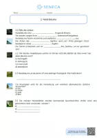 Vorschau - Arbeitsblätter - Bäume im Wald - Biologie 5. & 6. Klasse - Seite 2