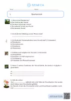 Vorschau - Arbeitsblätter - Baumwurzeln - KOSTENLOS - Biologie 5. & 6. Klasse - Seite 1