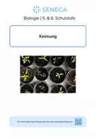 Vorschau - Arbeitsblätter - Keimung - KOSTENLOS - Biologie 5. & 6. Klasse - Deckblatt