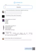 Vorschau - Arbeitsblätter - Körperbau - KOSTENLOS - Biologie 5. & 6. Klasse - Seite 1