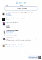Vorschau - Arbeitsblätter - Körperbau - KOSTENLOS - Biologie 5. & 6. Klasse - Seite 2
