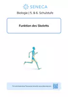 Vorschau - Arbeitsblätter - Funktion des Skeletts - KOSTENLOS - Biologie 5. & 6. Klasse - Deckblatt