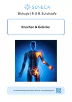 Vorschau - Arbeitsblätter - Knochen & Gelenke - Biologie 5. & 6. Klasse - Deckblatt