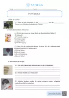 Vorschau - Arbeitsblätter - Wirbelsäule - Biologie 5. & 6. Klasse - Seite 1