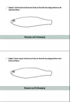 Vorschau - Arbeitsblätter - Flipbook zum Thema: Schwimmblase des Fisches - Seite 3
