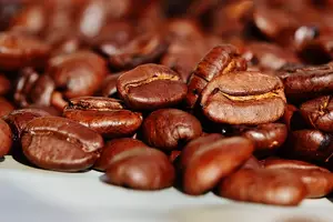 Vorschau - Stationenlernen - Kaffee - Sachtext Lesetraining/Lückentext HSU/DaF/DaZ - Seite 3