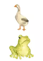 Vorschau - Präsentationen/Tafelbilder - Fabeltiere und ihre Eigenschaften/ Merkmale - Seite 2