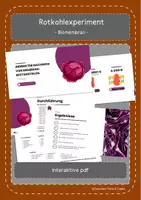 Vorschau - Interaktives Material - Rotkohlexperiment Versuchsanleitung (interaktive pdf) - Deckblatt
