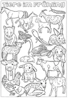 Vorschau - Unterrichtsreihen - Komplettpaket Tiere im Frühling / Jungtiere - mit Lernwerkstatt, Spielen, Kunstprojekt - Seite 2