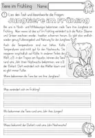 Vorschau - Unterrichtsreihen - Tiere im Frühling - Jungtiere & richtiges Verhalten - mit Bastelvorlagen, Spielen und BIldkarten - Seite 3