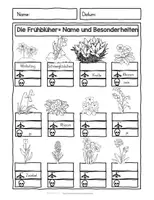 Vorschau - Arbeitsblätter - Frühblüher Wörterbuch mit Arbeitsblättern - Seite 1