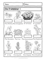 Vorschau - Arbeitsblätter - Frühblüher Wörterbuch mit Arbeitsblättern - Seite 2