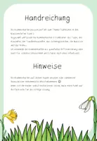 Vorschau - Spiele - Klammerkarten Frühblüher (Kl. 1/2) - Seite 2