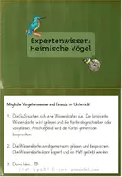 Vorschau - Stationenlernen - Heimische Vögel Wissenskartei | Sachunterricht Klasse 2-4 - Seite 3