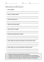 Vorschau - Arbeitsblätter - AB mit Fragen zum Thema "Algen" + Lösungsblatt + Mindmap + Infografik - Deckblatt