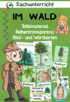 Vorschau - Poster - Wald | Stockwerke des Waldes - Seite 1