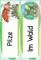 Vorschau - Poster - Wald | Stockwerke des Waldes - Seite 2