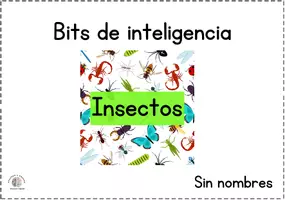Vista previa - Tarjetas / Manipulativos - Bits de inteligencia insectos (sin nombres) - Portada