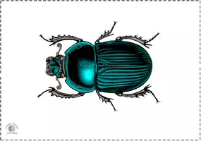 Vista previa - Tarjetas / Manipulativos - Bits de inteligencia insectos (sin nombres) - página 3