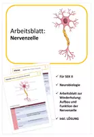 Vorschau - Arbeitsblätter - Arbeitsblatt: Bau und Funktion der Nervenzelle inkl. LÖSUNG - Deckblatt