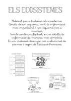 Vista previa - Hojas de trabajo - Els ecosistemes (Flipbook i esquema) - Portada
