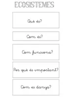 Vista previa - Hojas de trabajo - Els ecosistemes (Flipbook i esquema) - página 3
