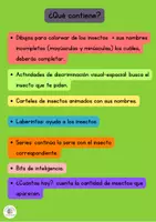 Vista previa - Juegos / Gamificación - CUADERNO DE ACTIVIDADES SOBRE LOS INSECTOS - página 1