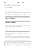 Vorschau - Arbeitsblätter - AB mit Fragen zum Thema "Appenzell" + Lösungsblatt + Infografik - Deckblatt