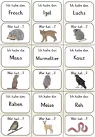Vorschau - Spiele - Heimische Wildtiere: Ich habe - Wer hat? - Das Spiel - Seite 2