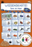 Vorschau - Stationenlernen - Tiere im Meer (Ozean) - Wissenskartei - Seite 1