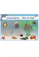 Vorschau - Stationenlernen - Tiere im Meer (Ozean) - Wissenskartei - Seite 2