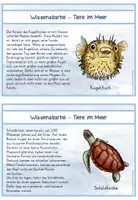 Vorschau - Stationenlernen - Tiere im Meer (Ozean) - Wissenskartei - Deckblatt