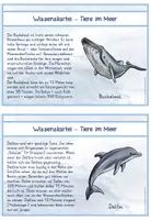 Vorschau - Stationenlernen - Tiere im Meer (Ozean) - Wissenskartei - Seite 3