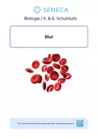 Vorschau - Arbeitsblätter - Blut - Biologie 5. & 6. Klasse - Deckblatt