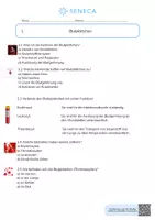 Vorschau - Arbeitsblätter - Blut - Biologie 5. & 6. Klasse - Seite 2