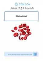 Vorschau - Arbeitsblätter - Blutkreislauf - KOSTENLOS - Biologie 5. & 6. Klasse - Deckblatt