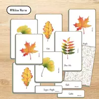 Aperçu - Cartes / Images - Cartes Montessori - Feuilles en automne, en anglais. - Page de couverture