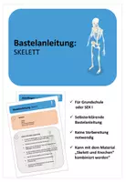 Vorschau - Arbeitsblätter - Bastelvorlage Skelett - Deckblatt
