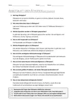 Vorschau - Arbeitsblätter - AB mit Fragen zum Thema "Äthiopien" + Lösungsblatt + Infografik - Seite 2